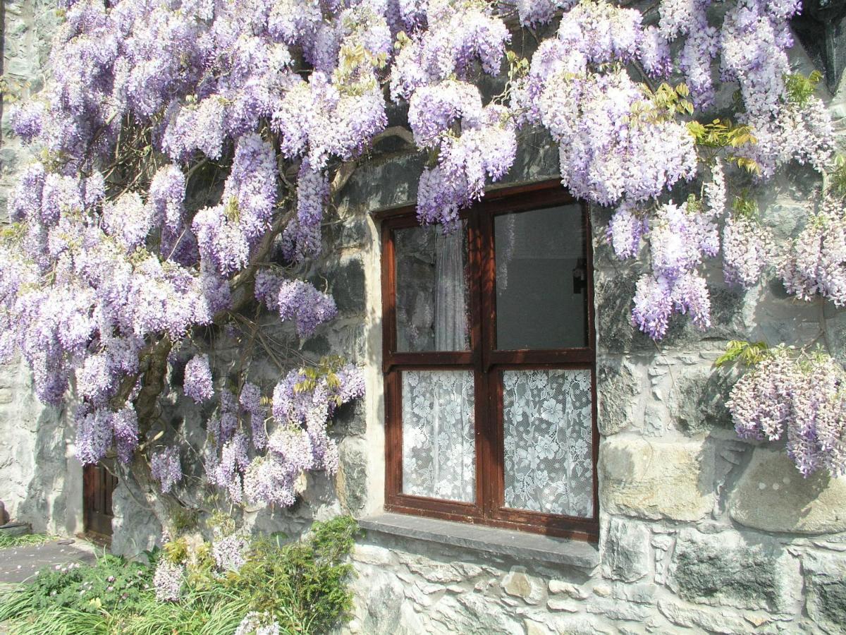 Conwy Valley Cottages Exterior foto